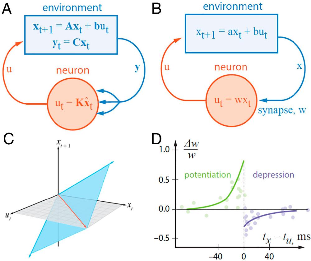 pnas.2311893121fig01.jpg